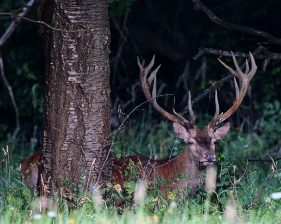 Na poslednú chvíľu