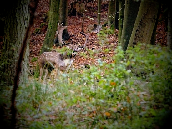 ...a budem si revať koľko chcem