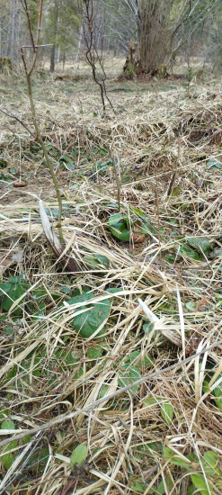 Aj tak som ťá našiel