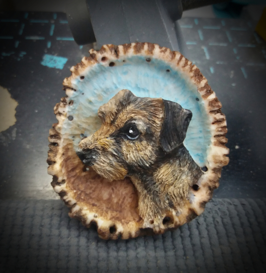 Border terier - na želanie