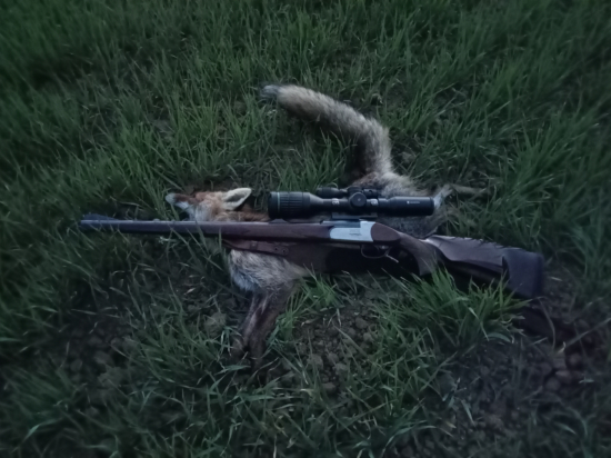 ...druhú už počula...