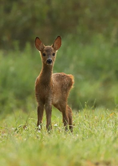 Rád som ťa stretol:-)