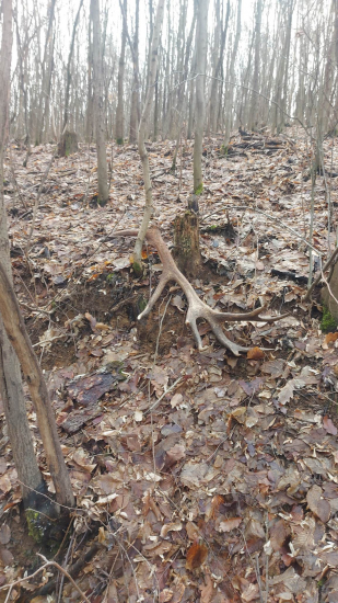 pekný marcový pohľad(2023)