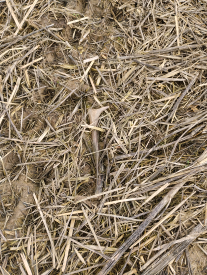 7/2024 pritlaceny traktorom