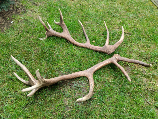 Už sú spolu 7,40 kg