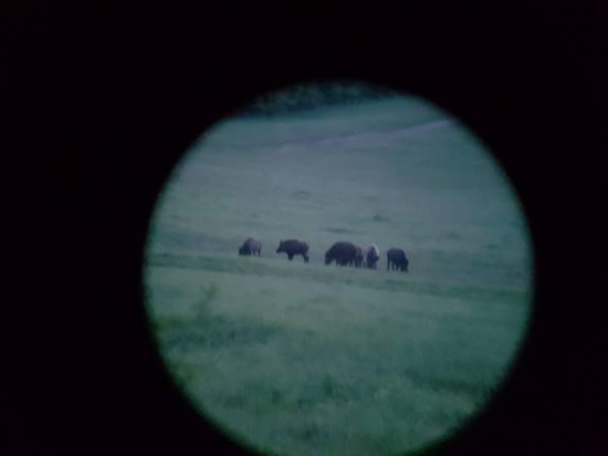 Už sa pomaly vracaju