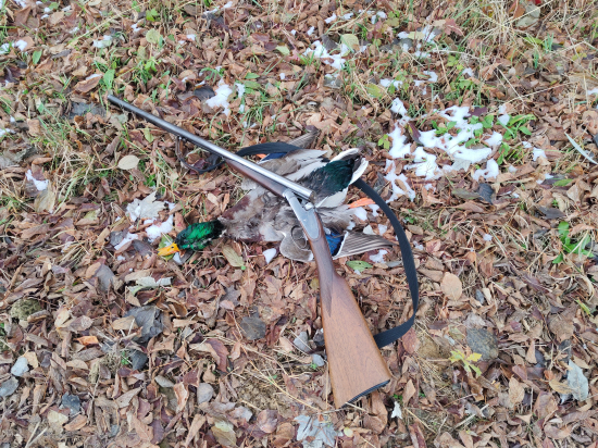 Na Topli. Jedna rána jeden kacer