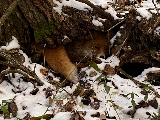 Kľudne si tam spala