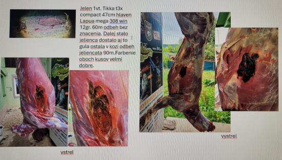 Lapua mega  12g 308 win jelen 1vt