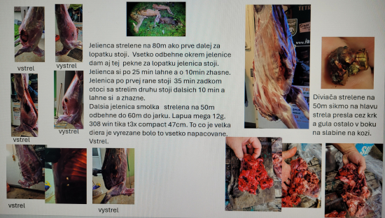 4 ks lapua mega 12g 308w