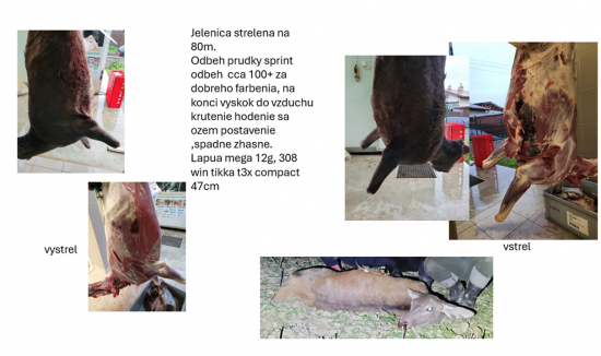 Lapua mega  12g 308 win