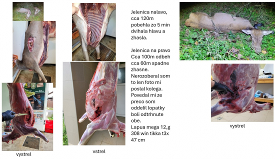 lapua mega 12g 308 w