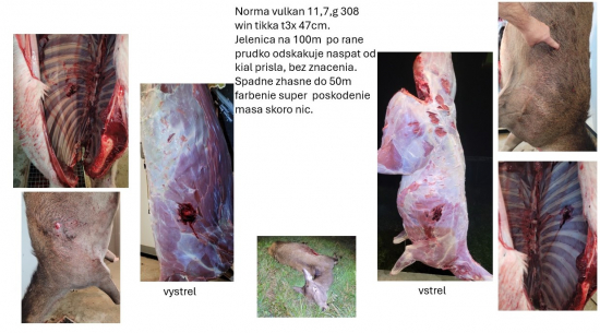 Norma vulkan 11,7g 308w