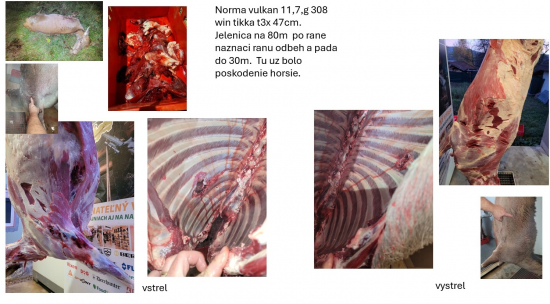 Norma vulkan 11,7 g 308w