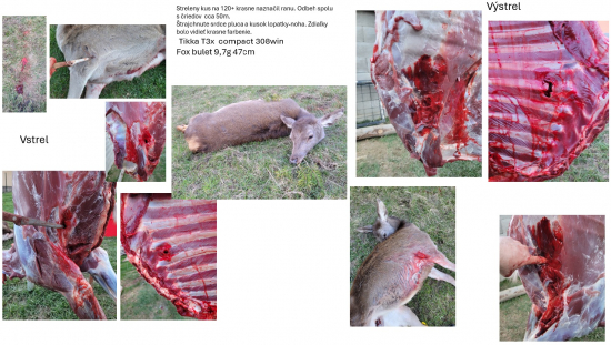 Tikka t3x compact 308 win 47 cm - 9,7 g fox bulet Šmolka