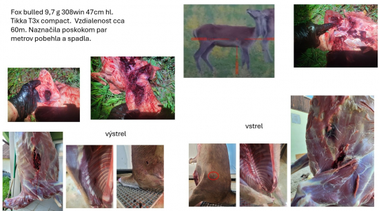 Tikka t3x compact 308 win 47 cm - 9,7 g fox bulet Šmolka