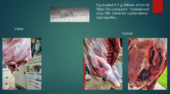 Tikka t3x compact 308 win 47 cm - 9,7 g fox bulet  Lanštiak