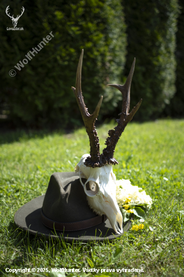 Možno bude medajla