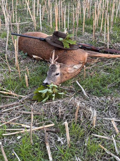 Ruja vydala svoje prekvapenie pre mňa