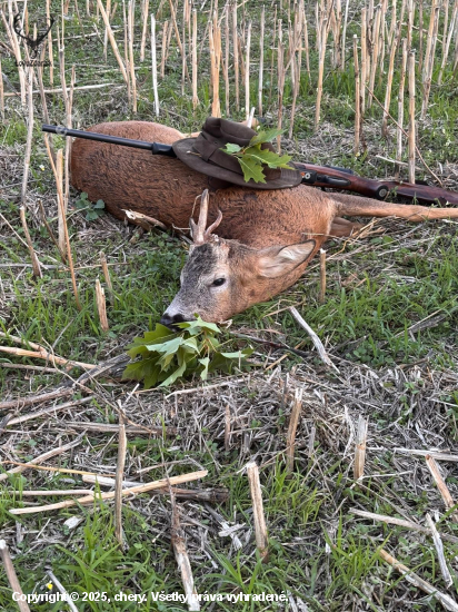 Ruja vydala svoje prekvapenie pre mňa