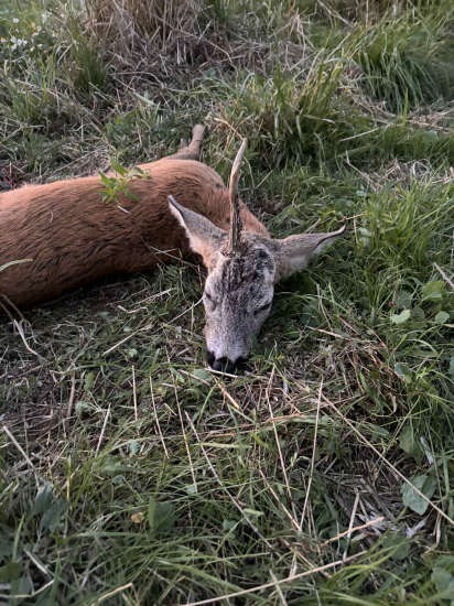 Ta 50tka je len raz za život :)