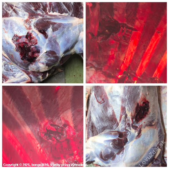 9,3x62 RWS UNI classic 19g