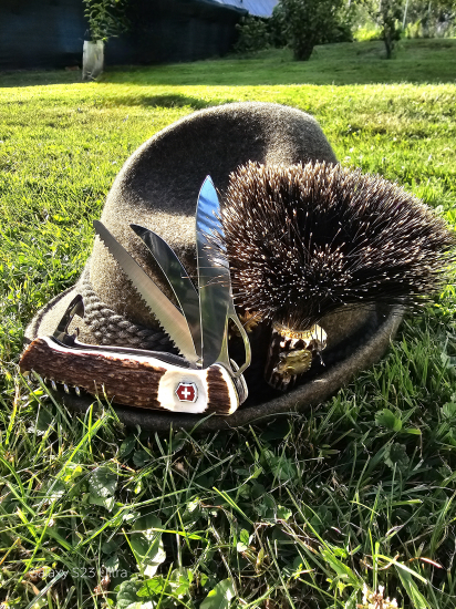 Pomocník Victorinox