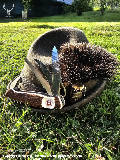 Pomocník Victorinox