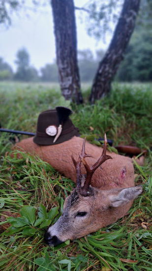 Zmoknutý ale spokojný...