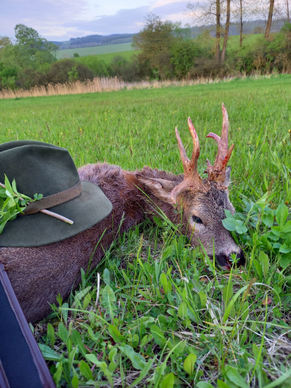 Životní, jiný pohled
