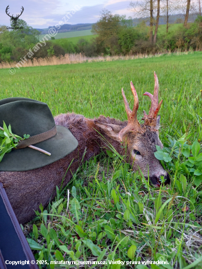 Životní, jiný pohled