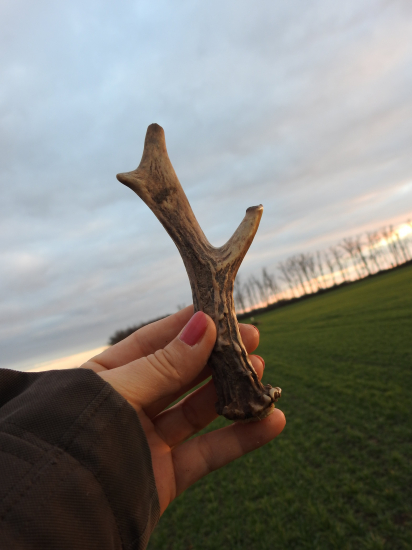 Ďalší čo potešil.