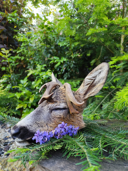 Tak ešte jedna z mojej raritky...