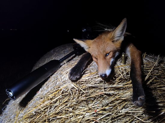 Jedna zo strniska...