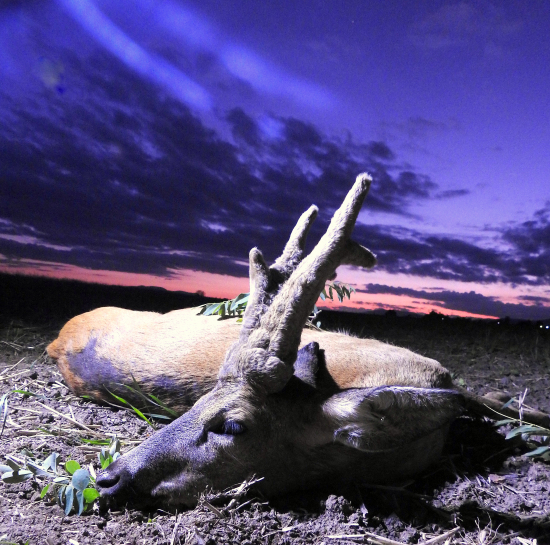 Môj prvý parochniar.