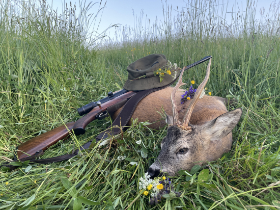 Nečakané stretnutie ...