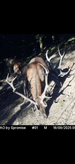 Teraz kamaráti čoskoro nepriatelia