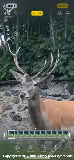 Dnes rarita z Turčeka