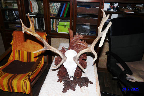 stojánková podložka