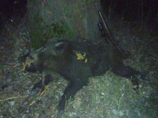 Po dlhšej dobe kanček