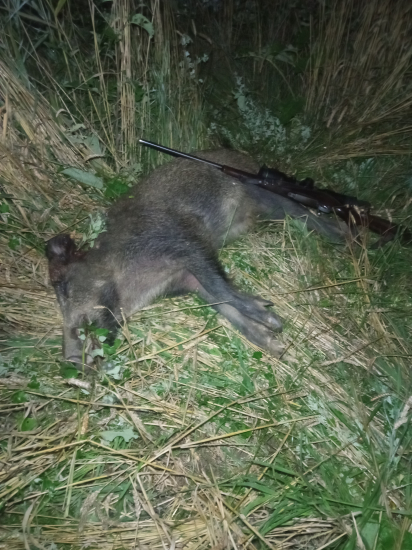 Ďalší  sa podaril