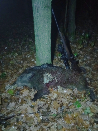 Dvadsiaty sa podaril.