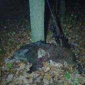 Dvadsiaty sa podaril.