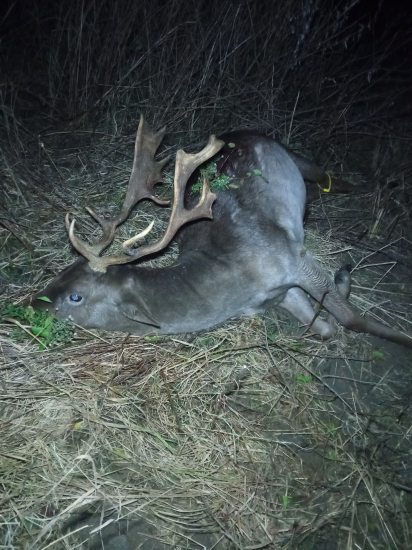 Večerný fešák do plánu