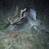 Večerný fešák do plánu