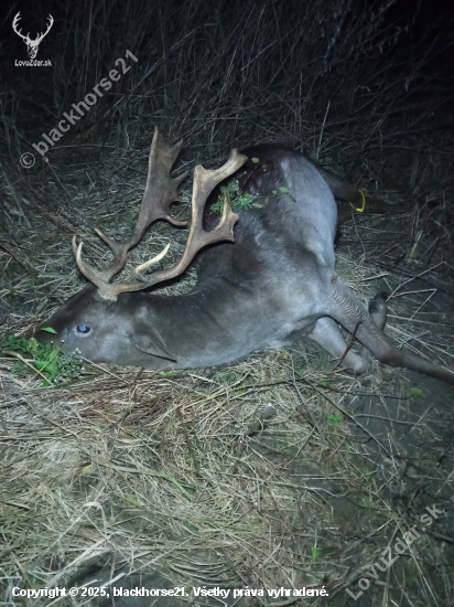 Večerný fešák do plánu