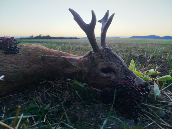 V posledných lúčoch