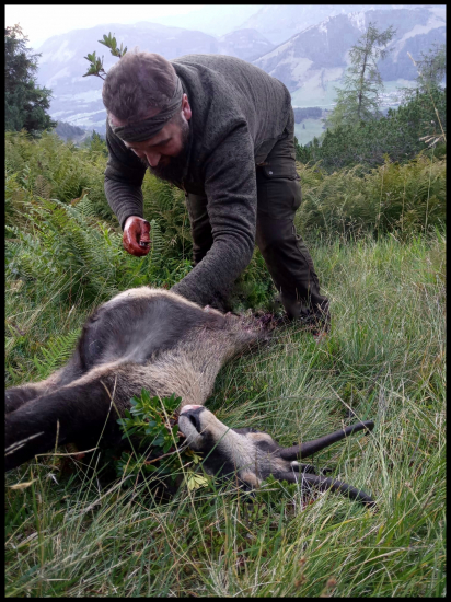 Červená práca v Alpách