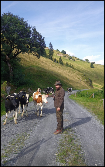 Aj takto vyzerá cesta za kamzíkom