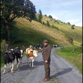 Aj takto vyzerá cesta za kamzíkom